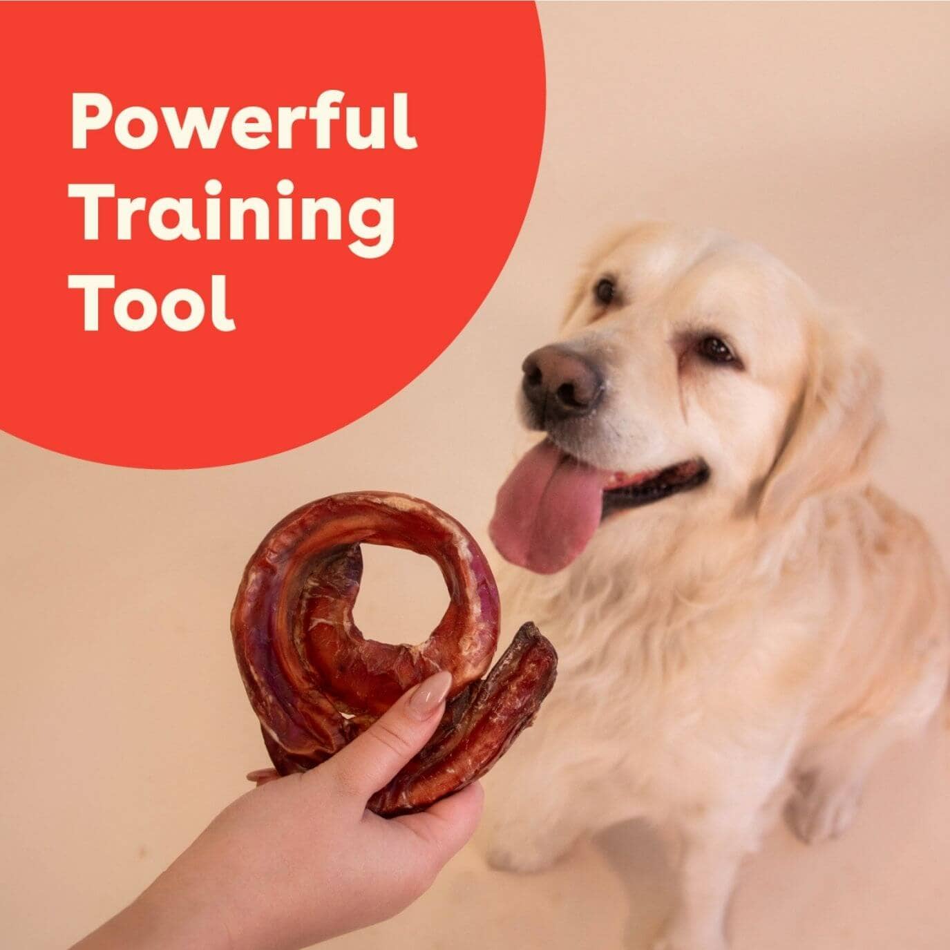 Pupford - Bully Rings: 3 Pack