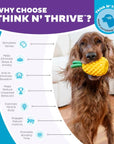 Planet Dog Dental Pineapple Dog Chew Toy Yellow