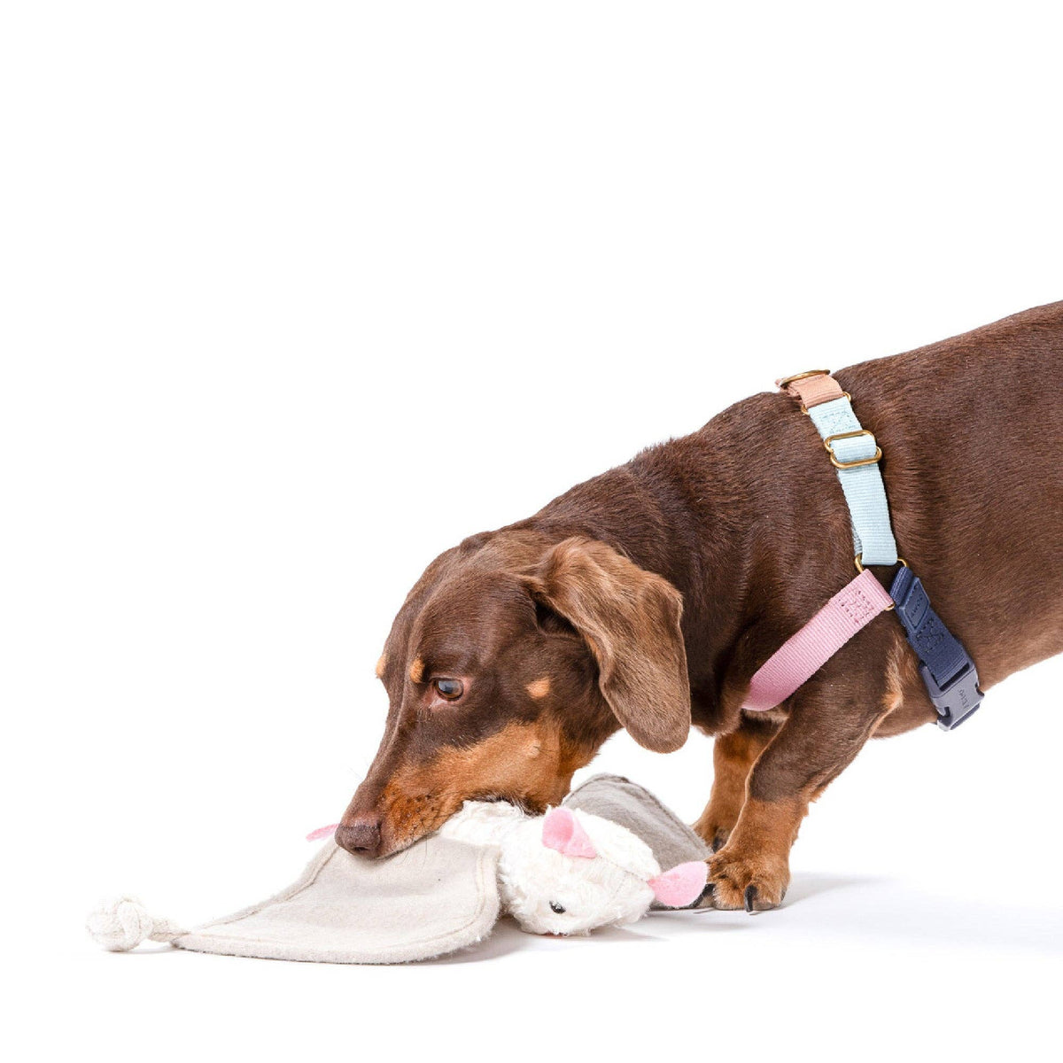 Awoo - Luna the Bat Organic Cotton Snuffle Toy