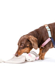 Awoo - Luna the Bat Organic Cotton Snuffle Toy