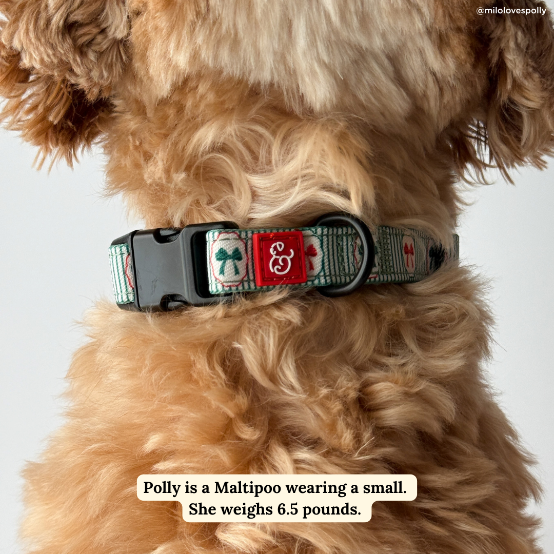 Lucy &amp; Co. - Wrap it Up Print Collar