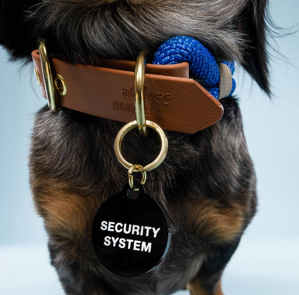 Freshwater Curated Goods™ - Security System Pet Tag