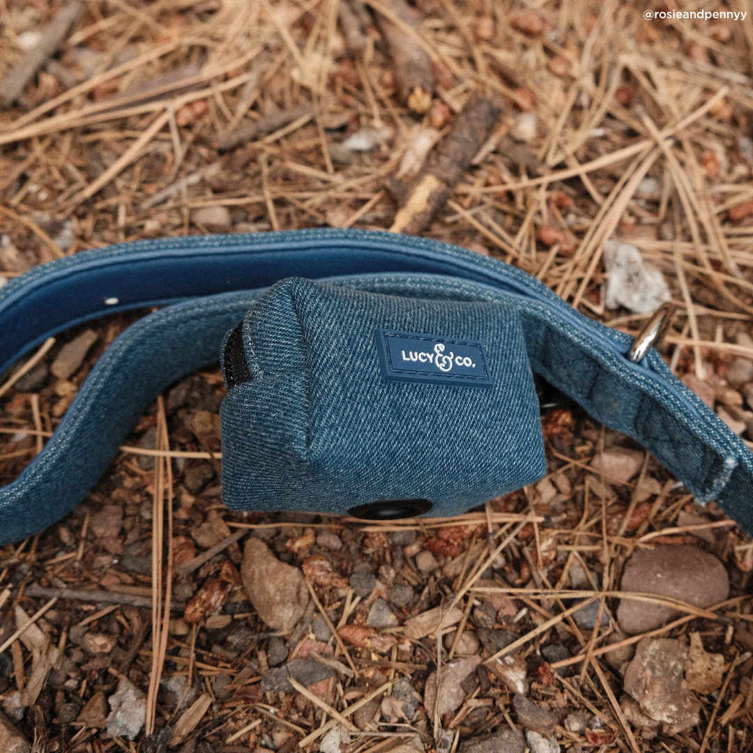 Lucy &amp; Co. - Blue Jeans Leash: L