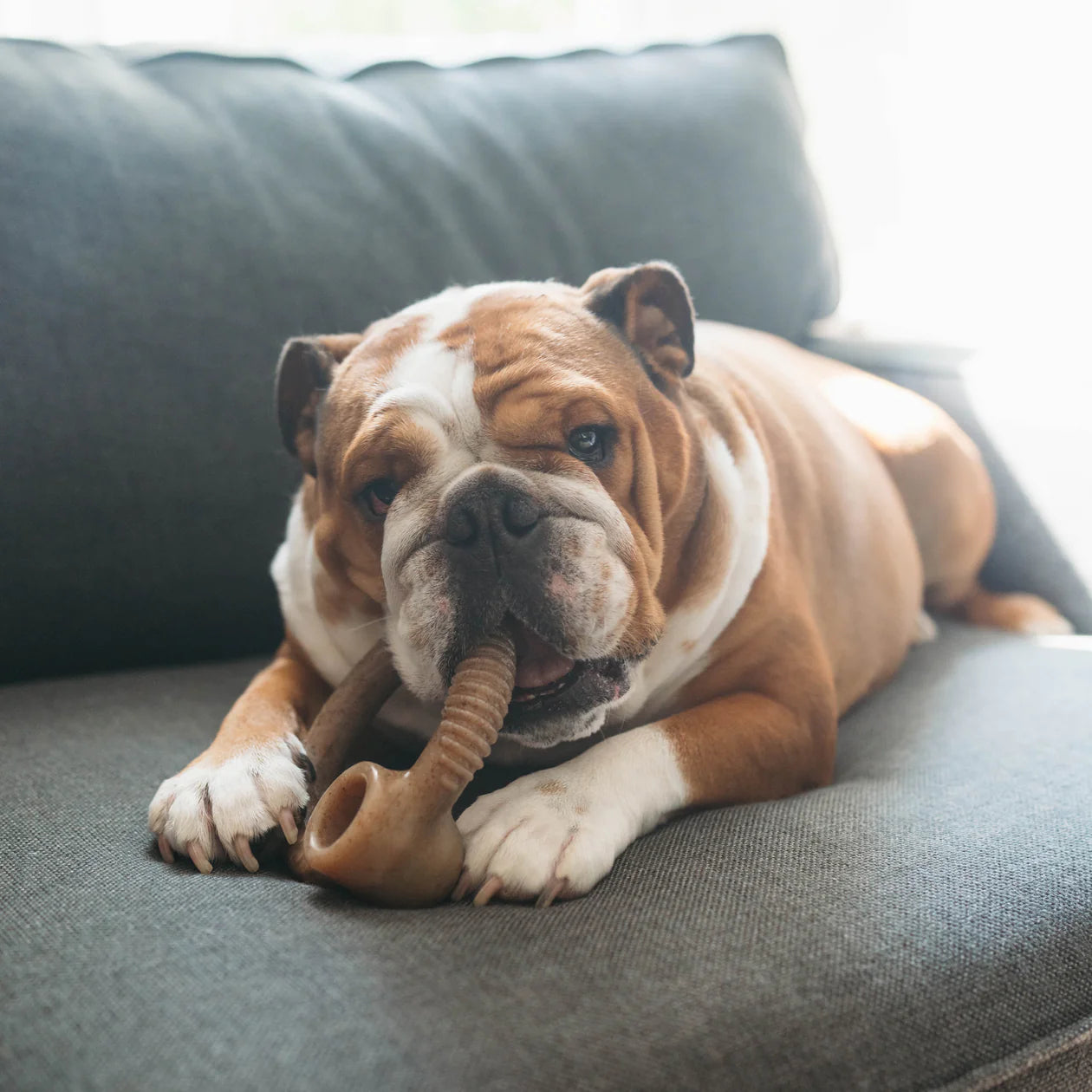 Benebone Rings Chew Toy