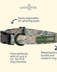 Lucy & Co. - Lucy & Co. x Parks Project Sequoia Seedlings Collar