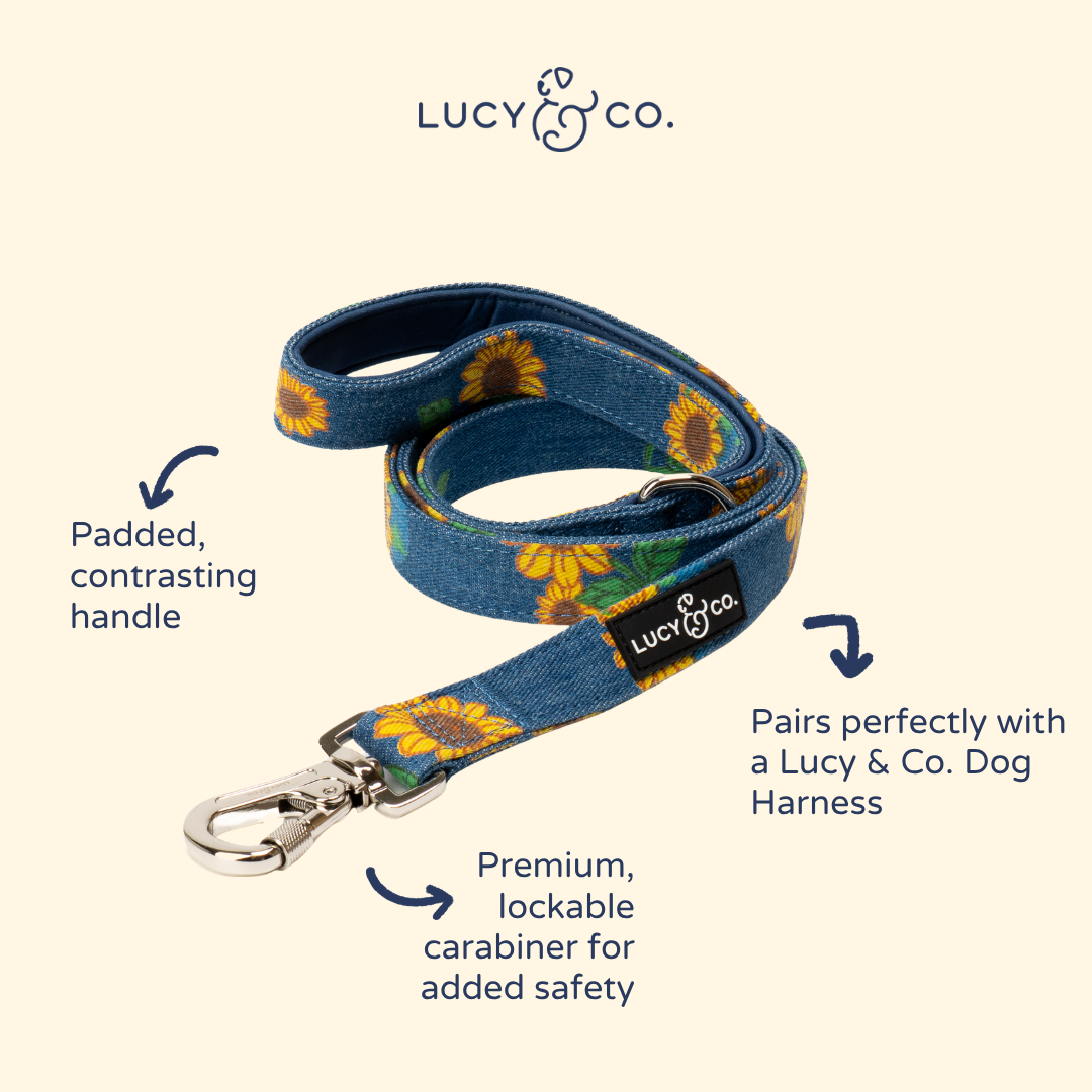 Lucy &amp; Co. - Sunflower Power Denim Leash