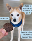 SourDog - Berry Blessed- Blueberry Sourdough Dog Treats