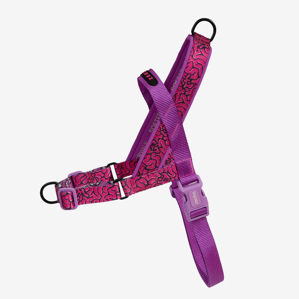 【未使用保管品】おうちトレーニング　FOOT BRAIN ACTIVATION brain-softerwalk-harness-main-