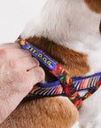 Zee.Dog - Samba | SofterWalk Harness: Large