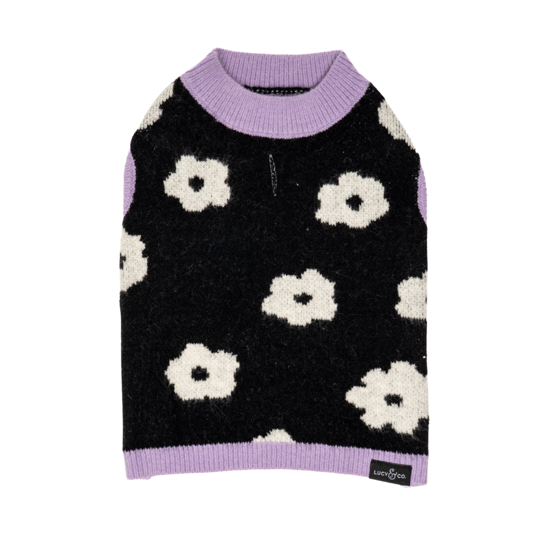 Lucy &amp; Co. - Far Out Sweater