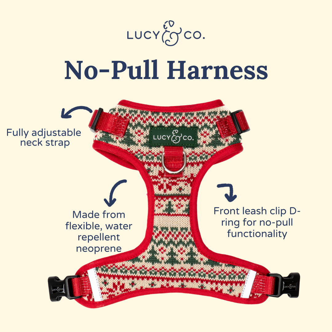 Lucy &amp; Co. - Let it Snow No-Pull Harness