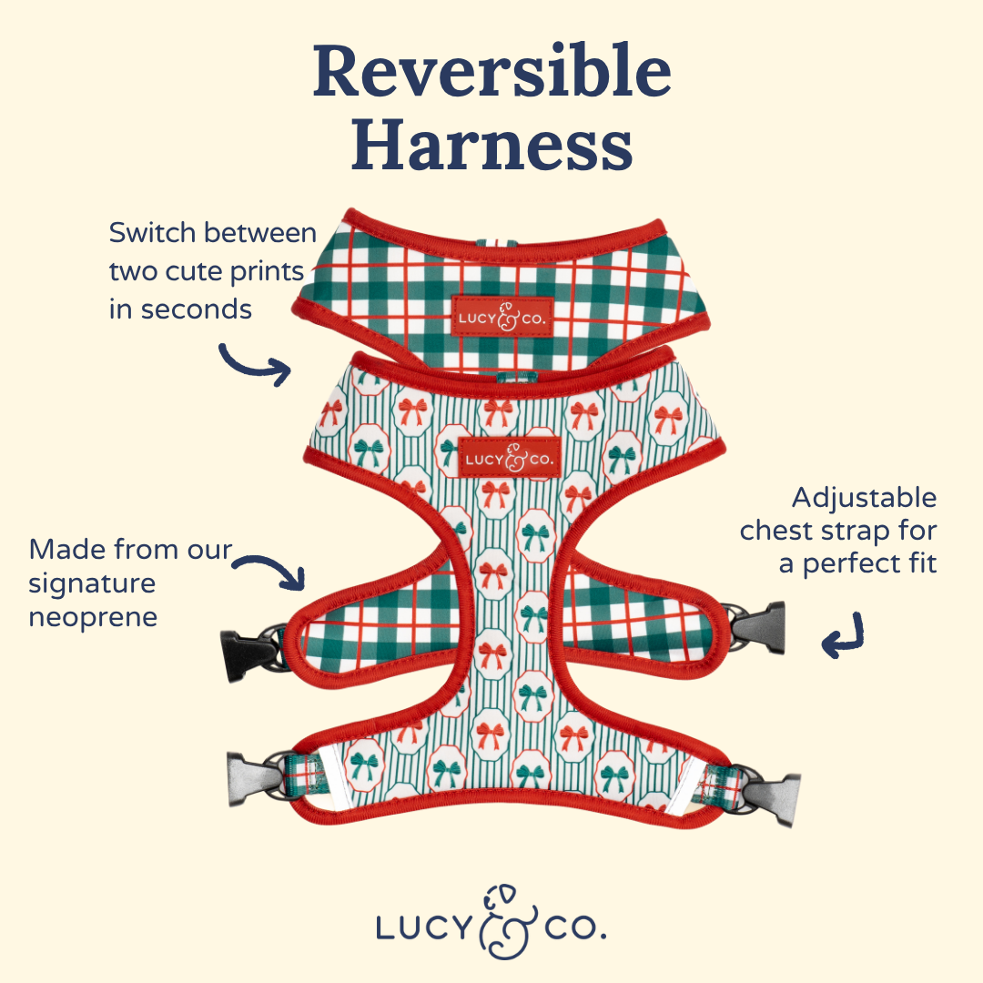 Lucy &amp; Co. - Wrap it Up Reversible Harness