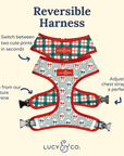 Lucy & Co. - Wrap it Up Reversible Harness