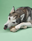 BetterBone Natural Dog Chews - VENISON Medium Density