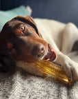 Wag & Bright Supply Co. - Mighty Marrows Collagen Dental Chew- Spirulina Beef- 3 Sizes: Large