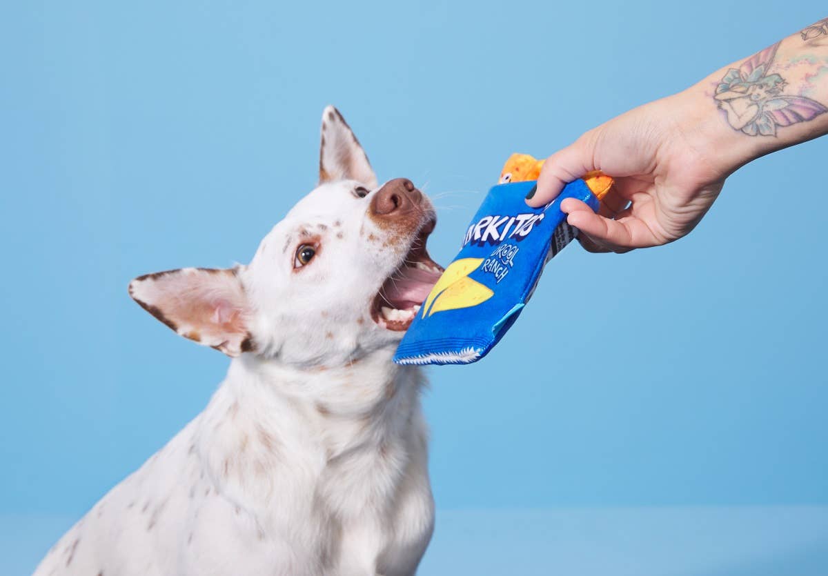 BARK Drool Ranch Chips