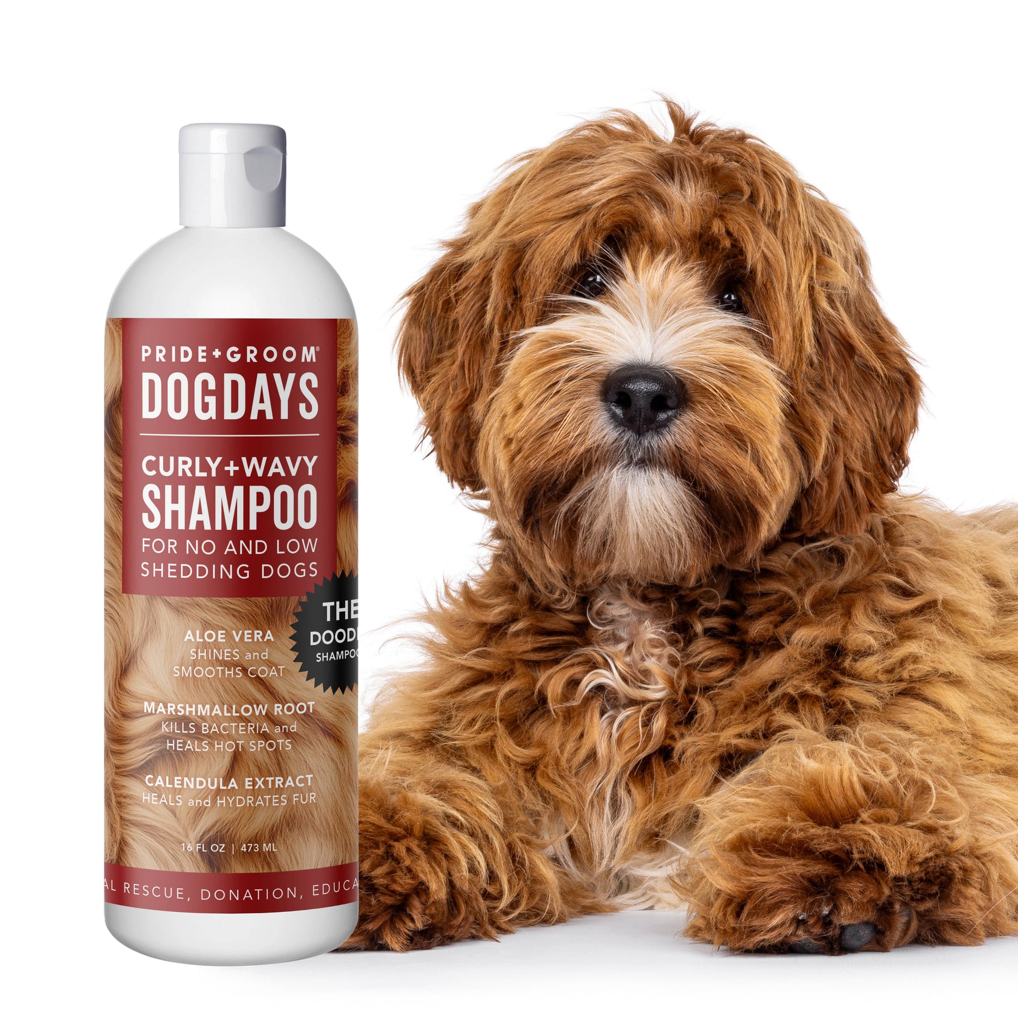 PRIDE + GROOM - DOGDAYS Curly + Wavy Shampoo Gallon