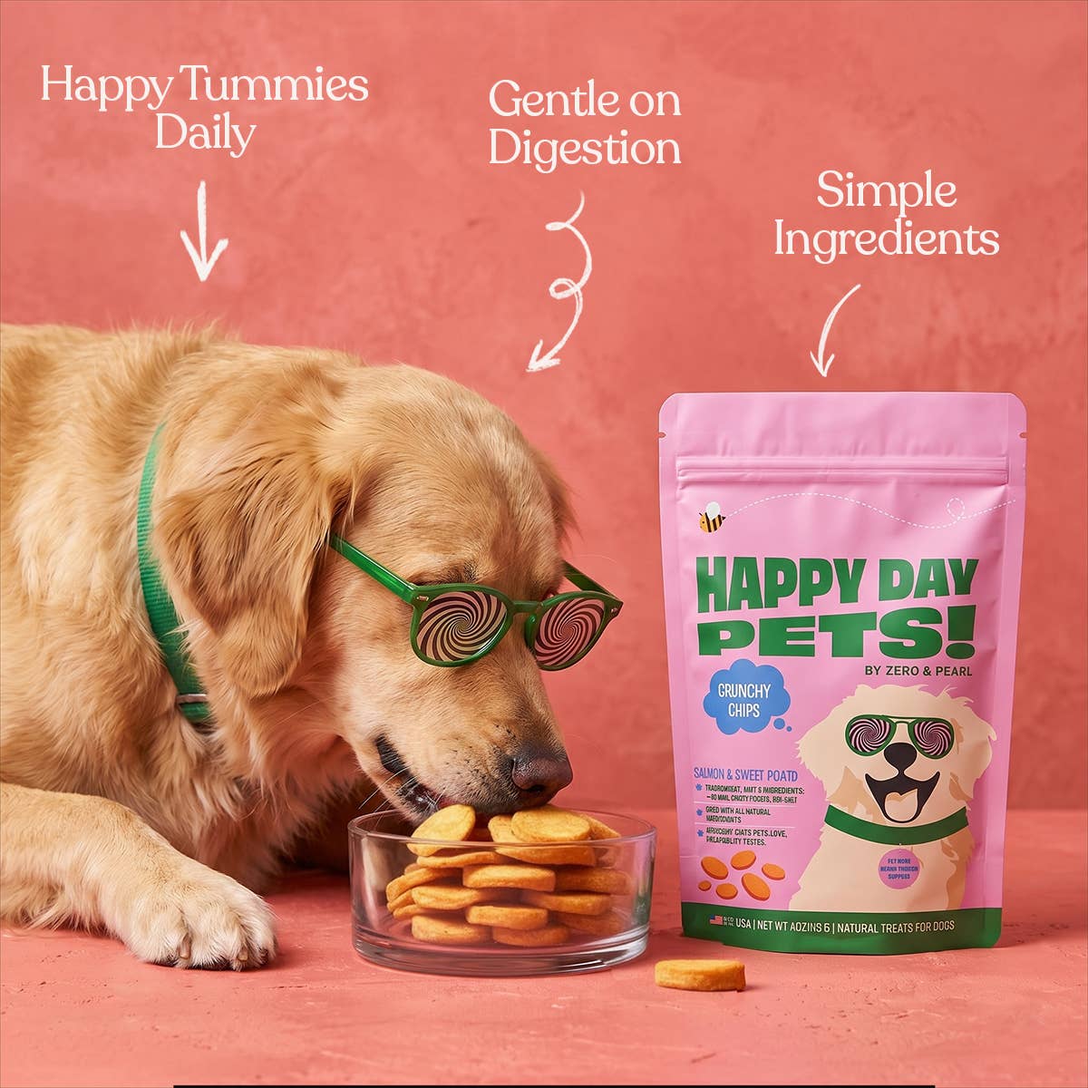 Happy Day Pets - Happy Day Pets Salmon &amp; Sweet Potato Chips Dog Treats