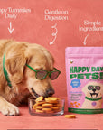 Happy Day Pets - Happy Day Pets Salmon & Sweet Potato Chips Dog Treats