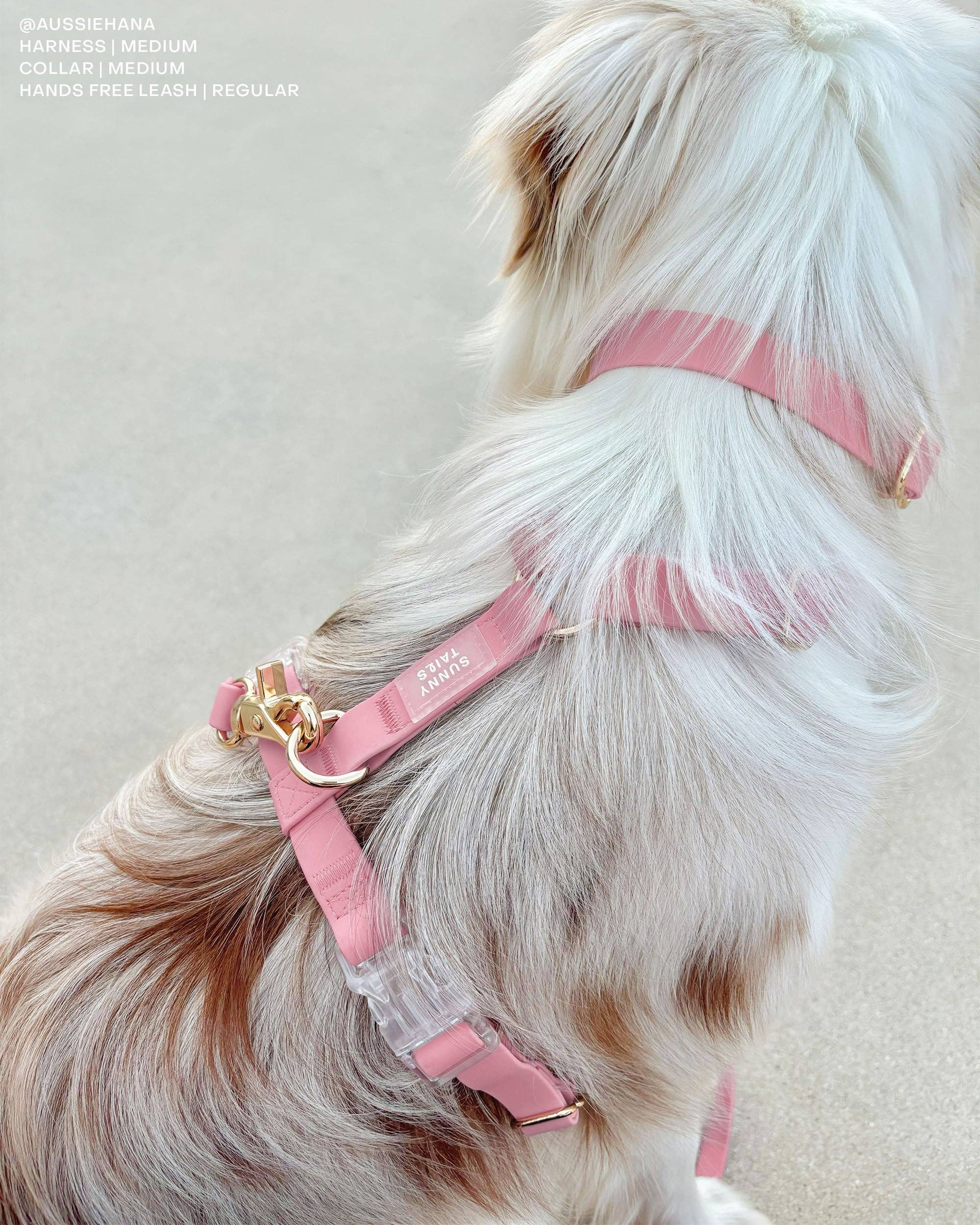SUNNY TAILS - Perfect Pink Waterproof Dog Collar: LARGE