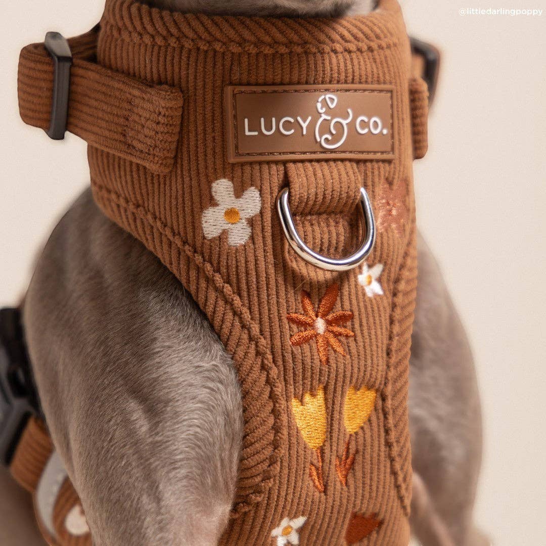 Lucy &amp; Co. - Chocolate Meadows Corduroy No-Pull Harness
