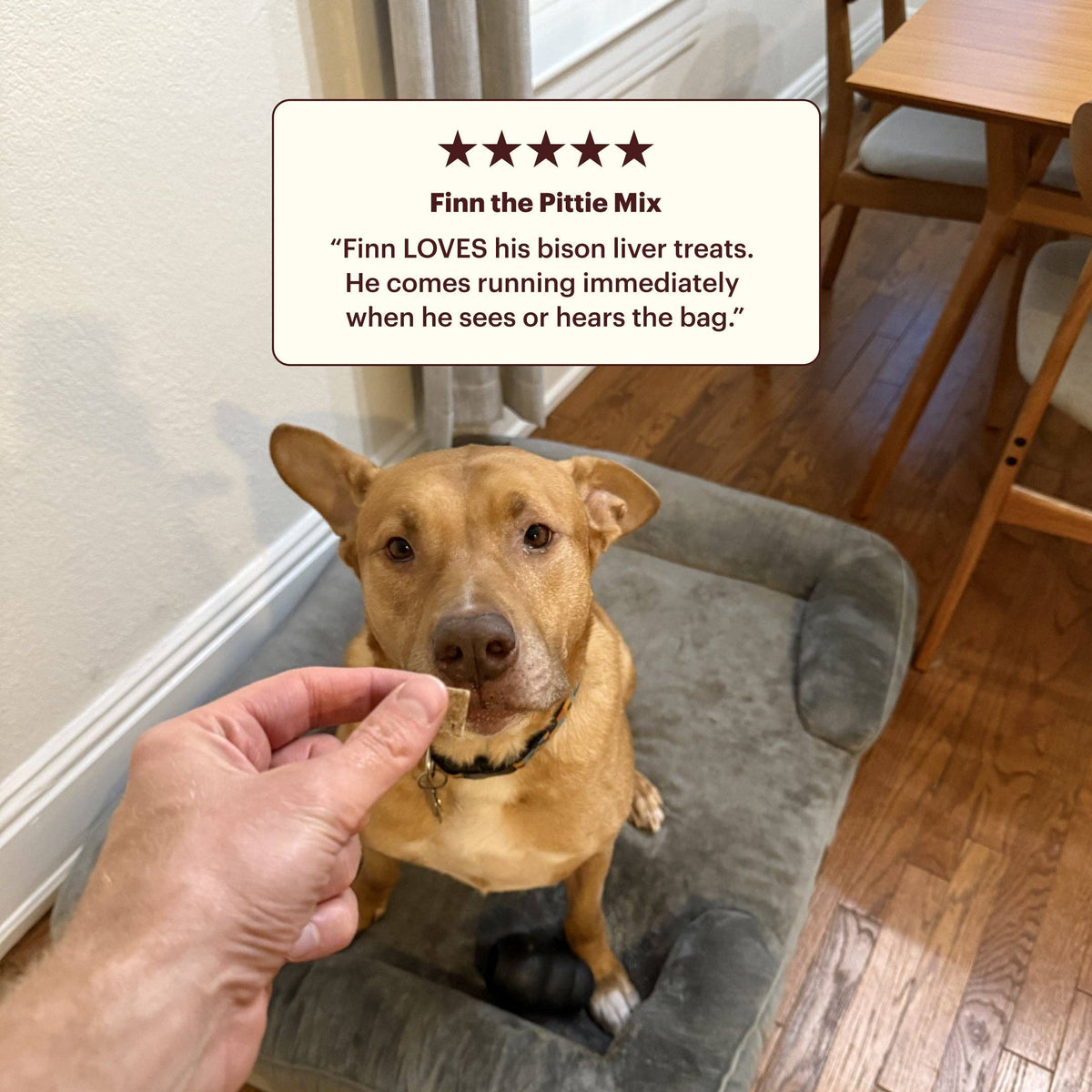 Once Wild - 100% Bison Liver Treats