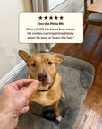 Once Wild - 100% Bison Liver Treats