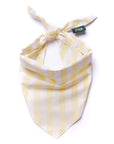 The Paws - Butter Stripe  Dog Bandana