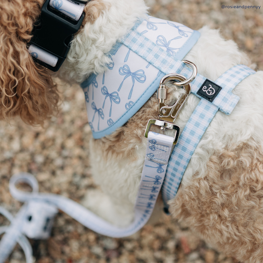 Lucy &amp; Co. - Bowwow Wow! Leash: L