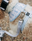 Lucy & Co. - Bowwow Wow! Reversible Harness: L