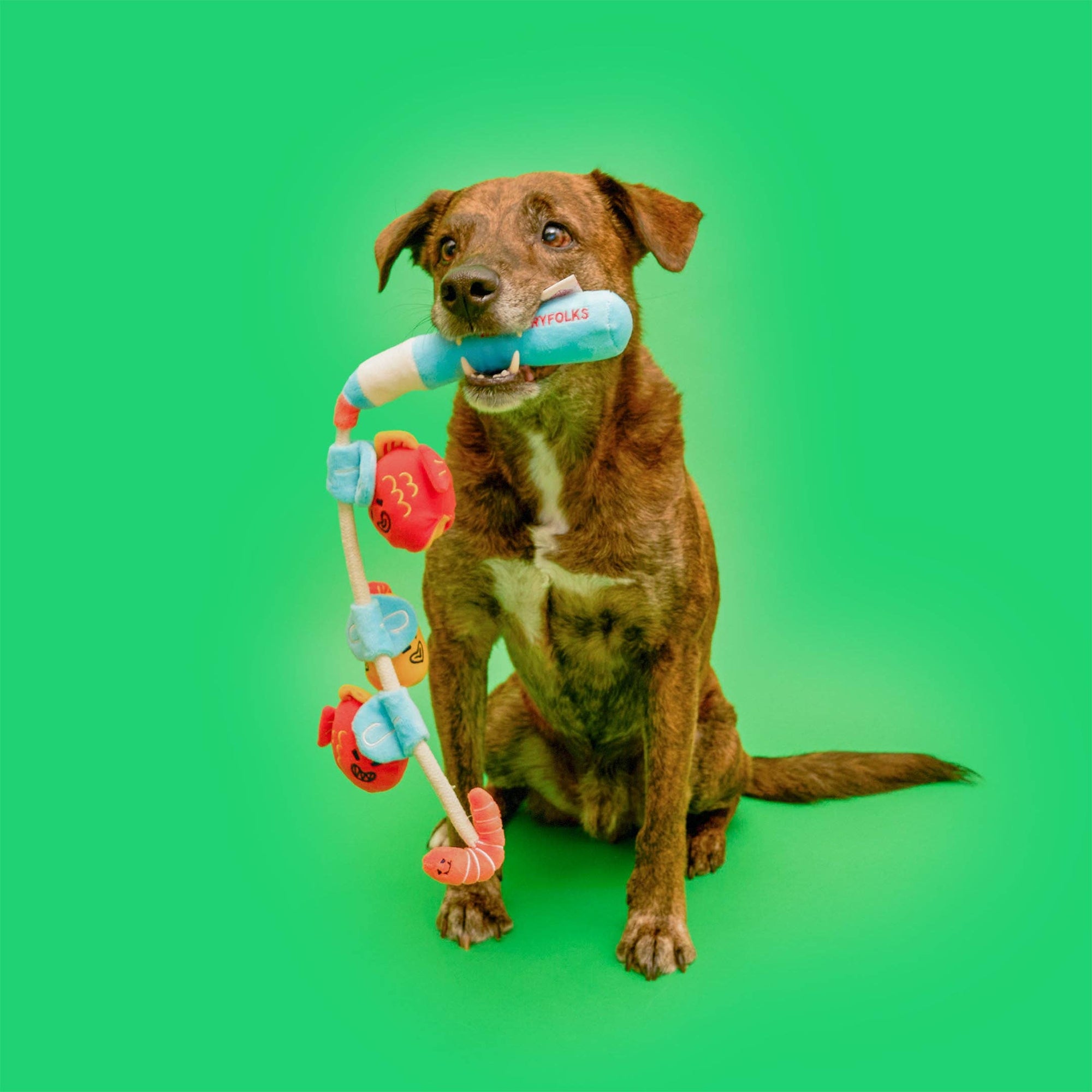 the furryfolks - Fishing Nosework &amp; Tug Toy