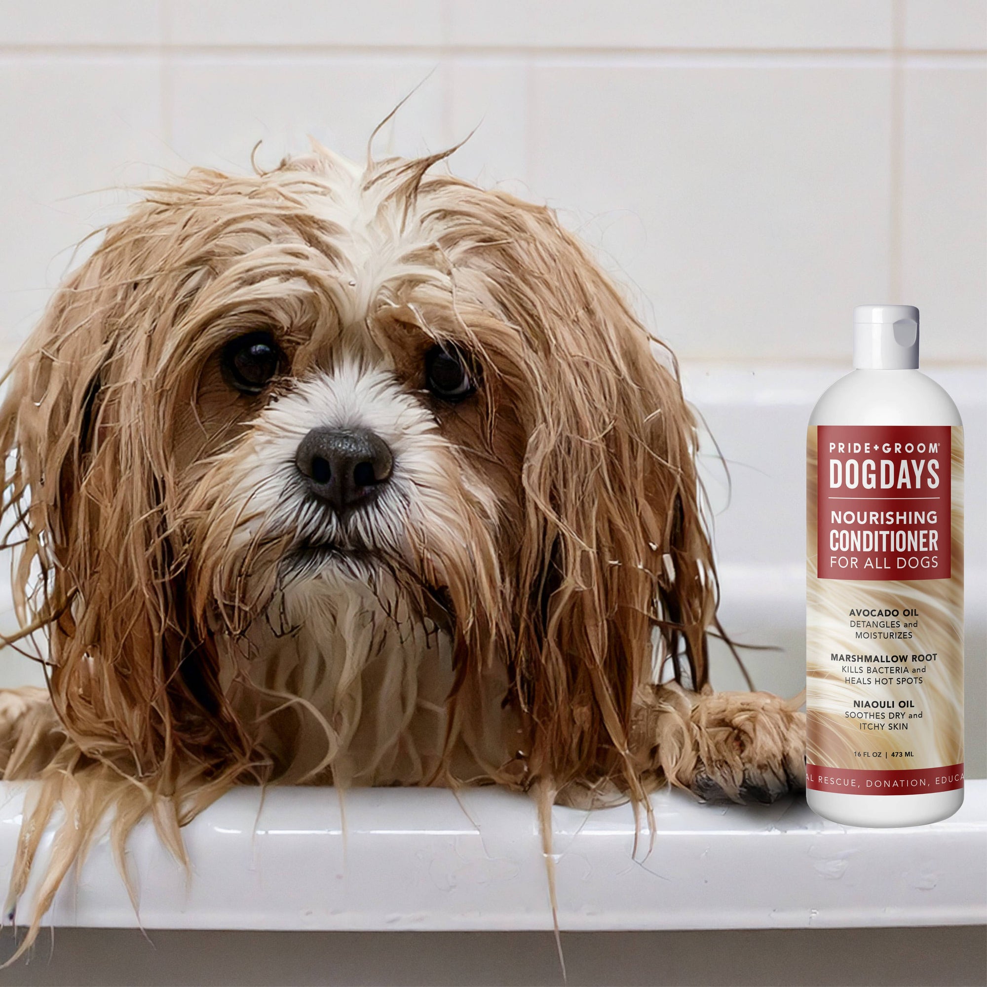 PRIDE + GROOM - DOGDAYS Conditioner Gallon