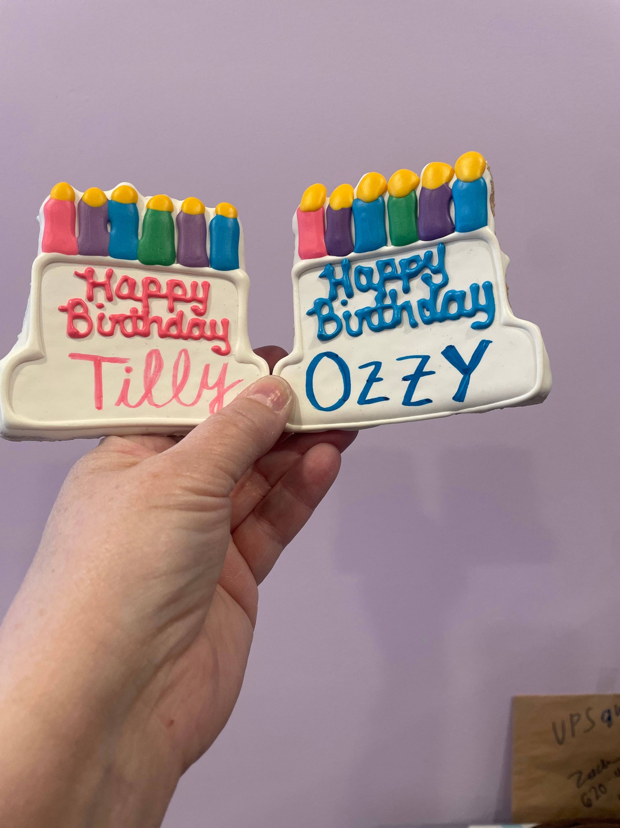 Lucky Biscuit Pet Bakery - Edible Ink Marker for Customizing Cookies : Black