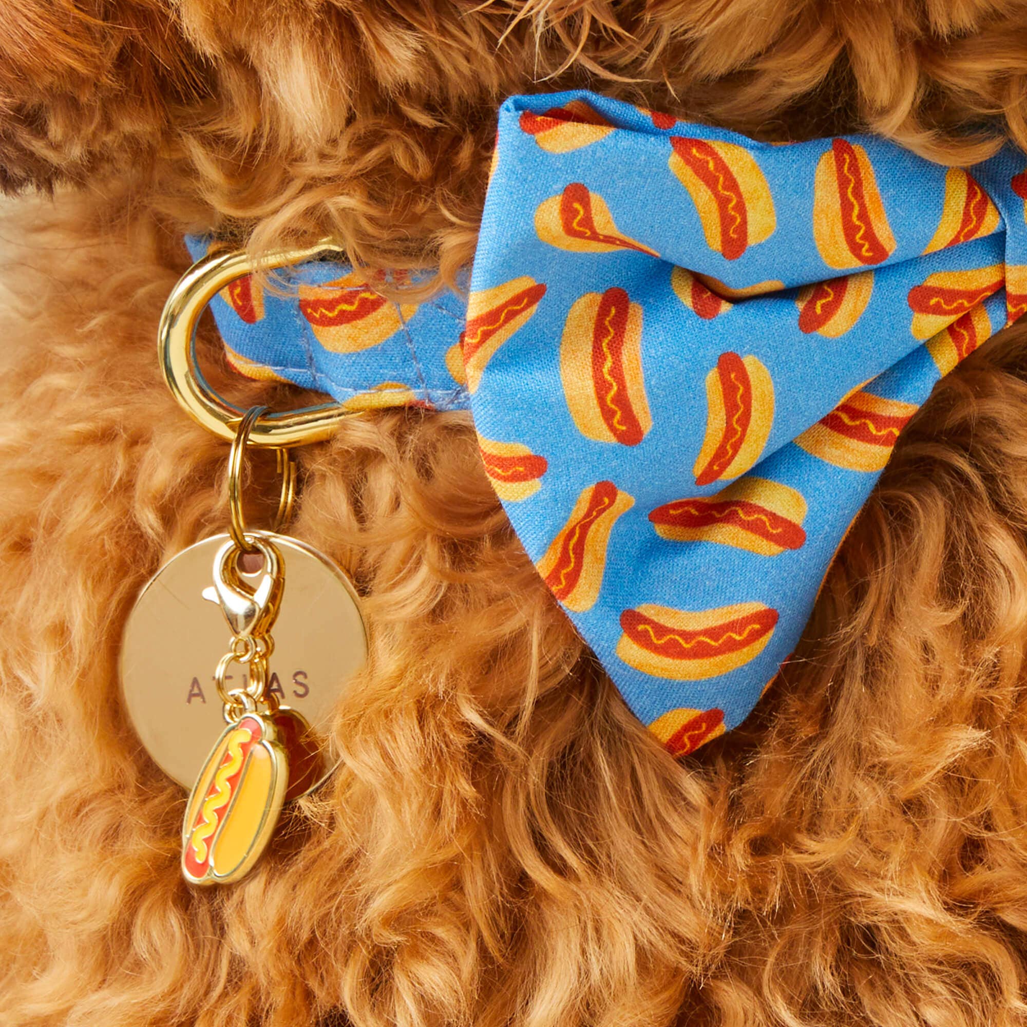 The Foggy Dog - Hot Dog Collar Charm: Charm Only