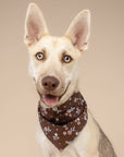 The Paws - Hazel Dog Bandana