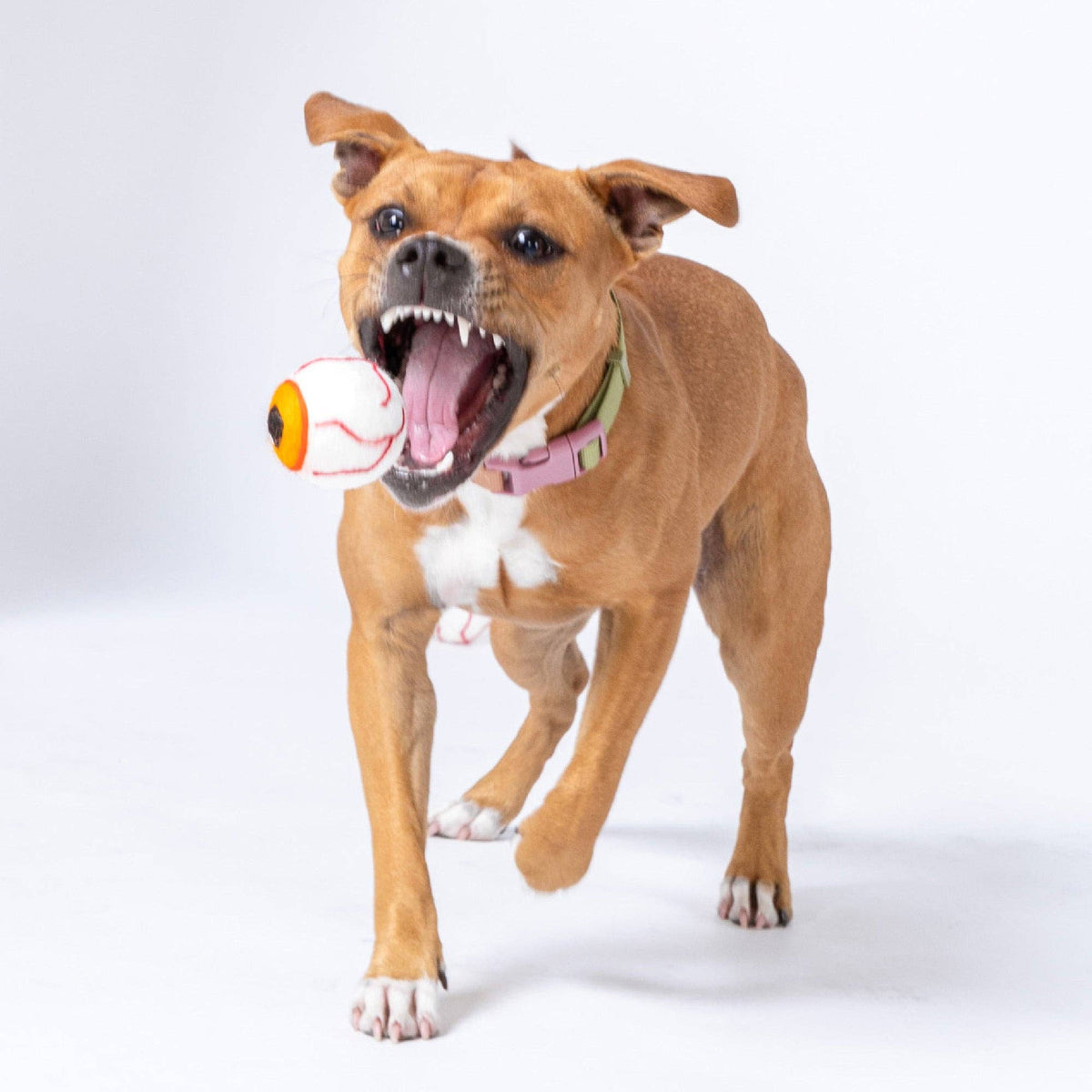 Awoo - Evil Eye Felt Wool Fetch Toy