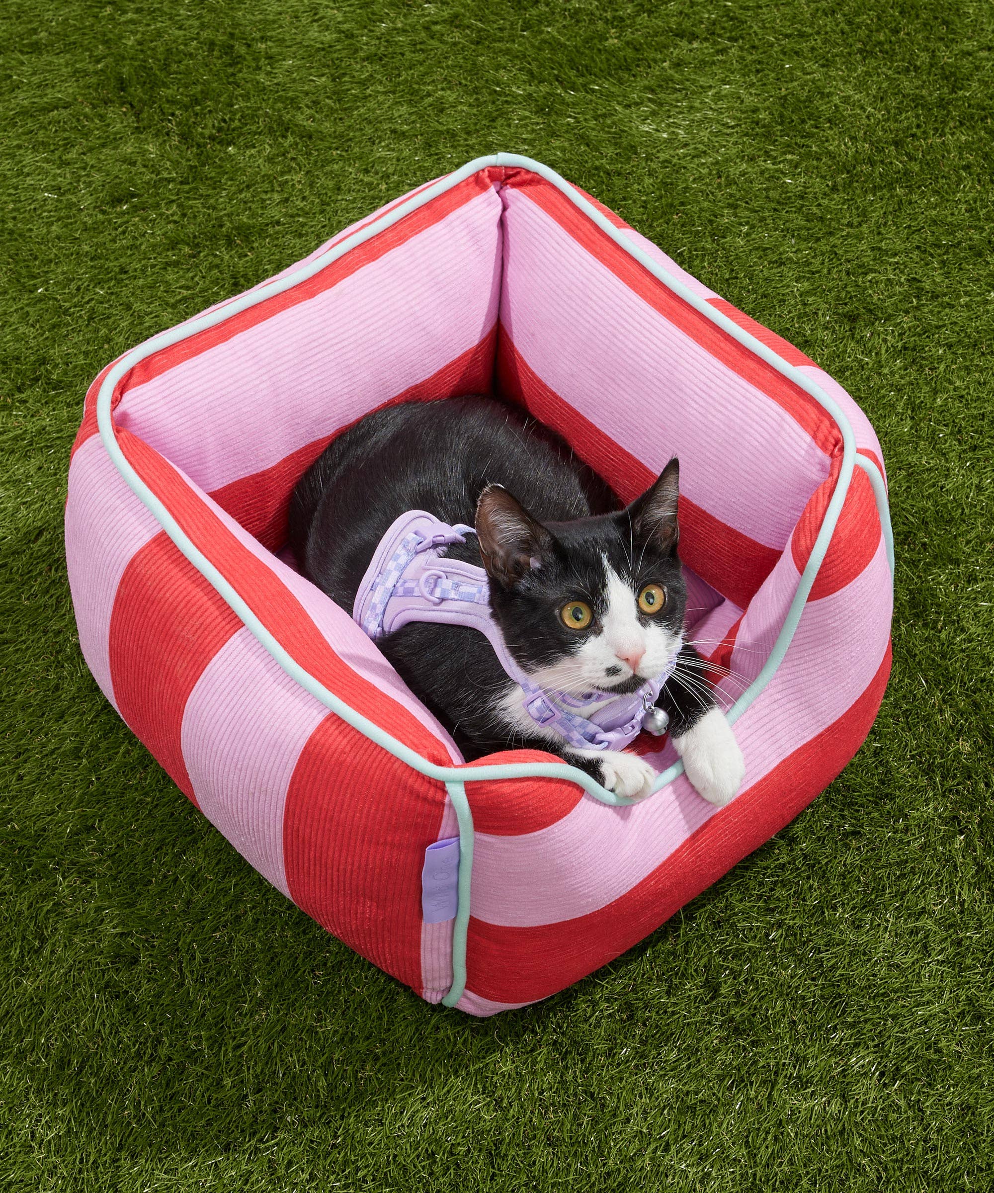 Wild One - Cat Bolster Bed: Bubblegum