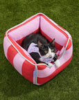 Wild One - Cat Bolster Bed: Bubblegum