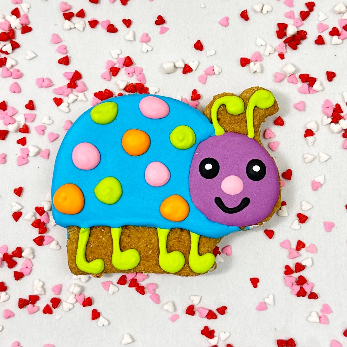 Lucky Biscuit Pet Bakery - Colorburst Spring Bloom Collection: Rainbow Petal Daisy