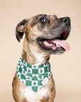 The Paws - Spruce Dog Bandana