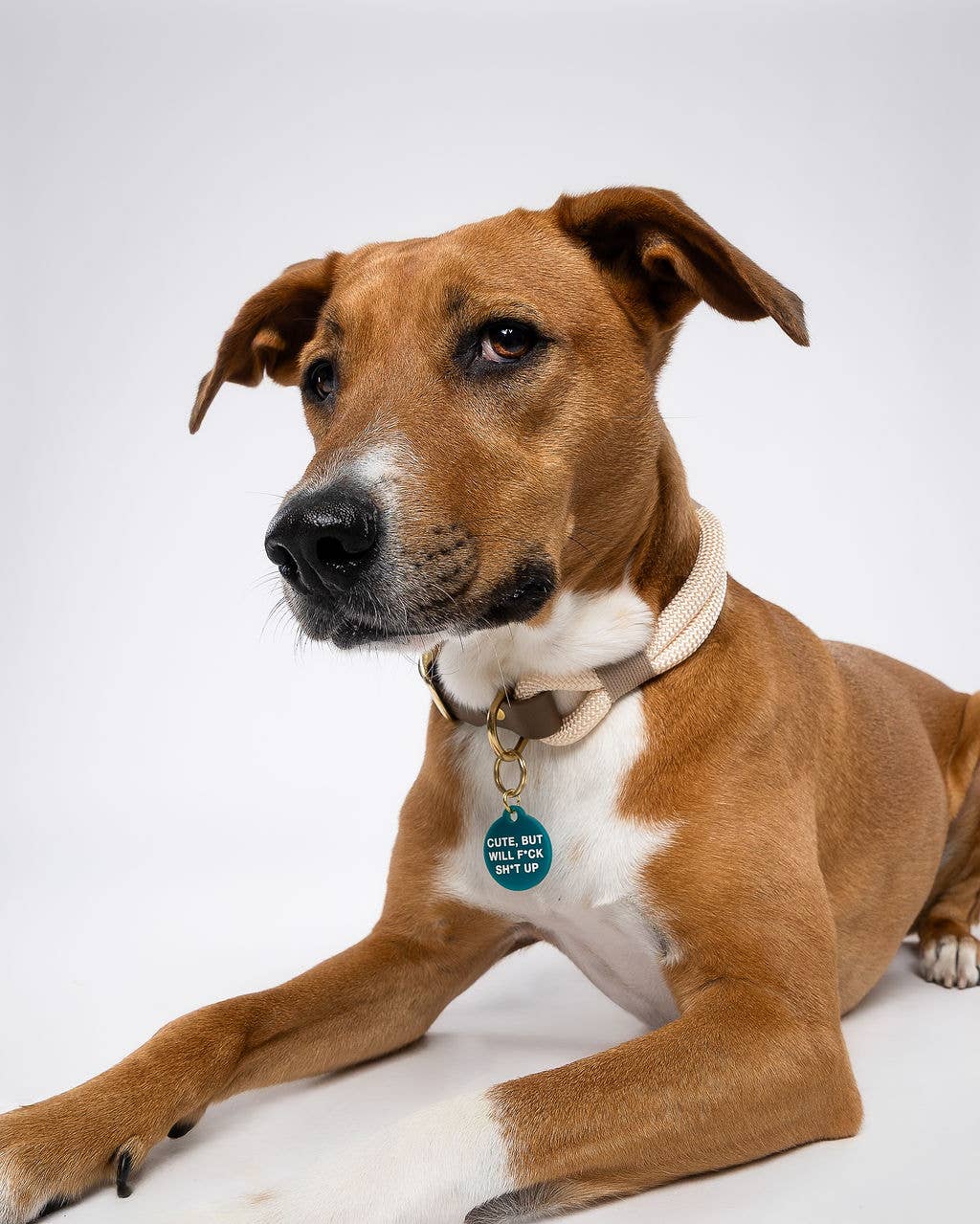 Freshwater Curated Goods™ - Cute But Will F*ck Sh*t Up Pet Tag
