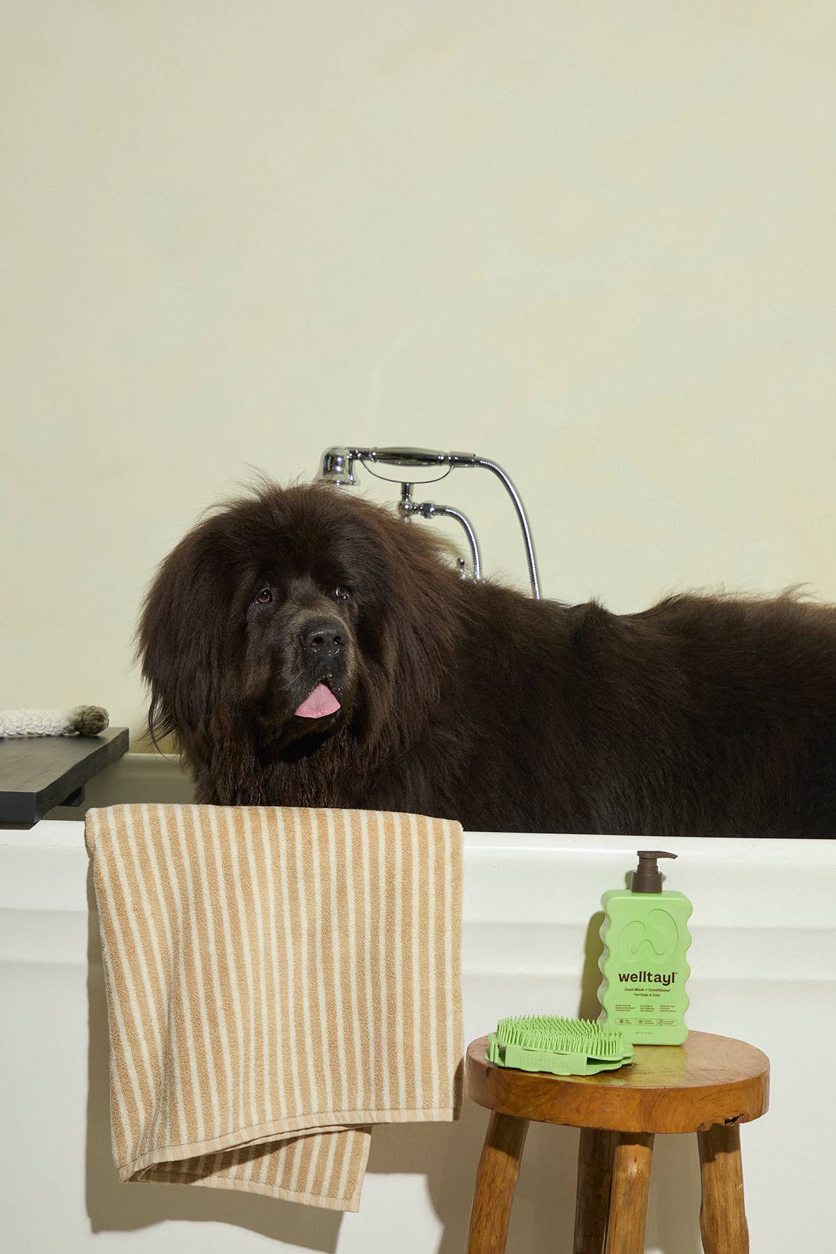 Welltayl - Dog Coat Wash + Conditioner (Cat-Safe)