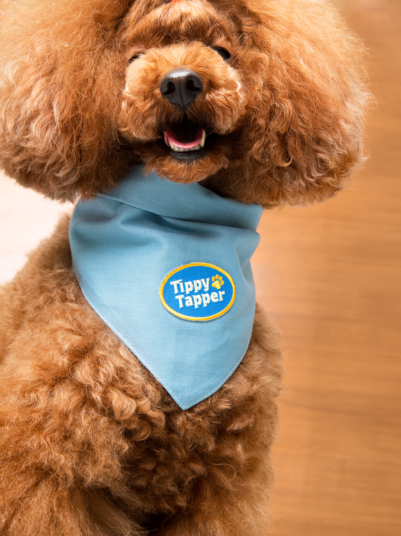 Scout's Honour Pty Ltd - Tippy Tapper iron-on patch for dogs and cats