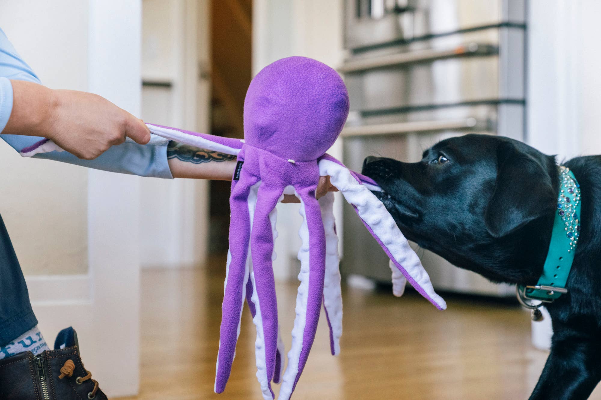 Play Pet Brands - Ocean Buddies - Opal the Octopus