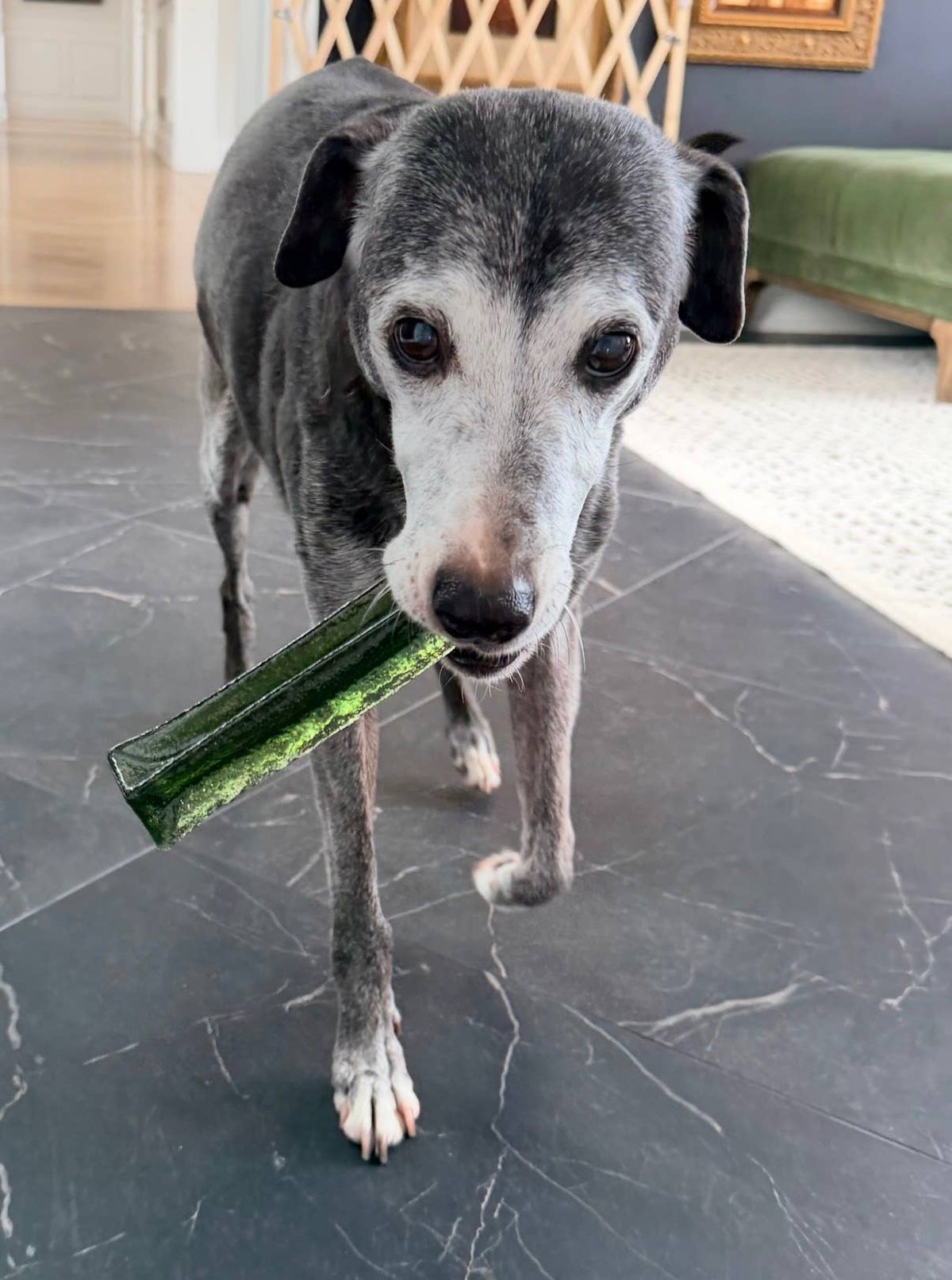 Wag &amp; Bright Supply Co. - Mighty Marrows Collagen Dental Chew- Spirulina Beef- 3 Sizes: Large