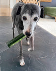 Wag & Bright Supply Co. - Mighty Marrows Collagen Dental Chew- Spirulina Beef- 3 Sizes: Large