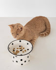 dexypaws - Cat Ceramic Bowl - White & Black Polka Dot
