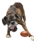 BARK Chompionship Football Super Chewer Dog Toy