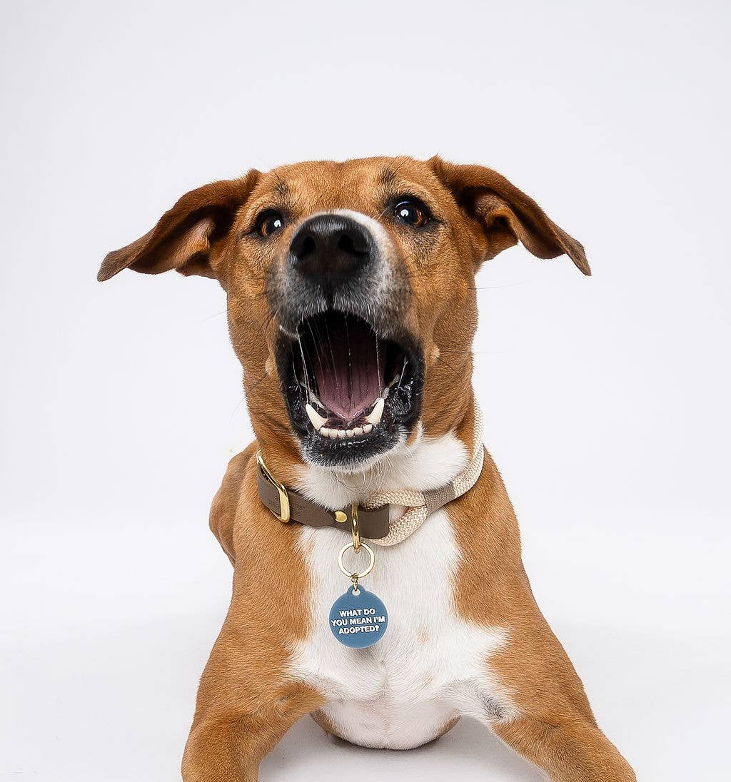 Freshwater Curated Goods™ - Adopted Pet Tag