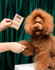 Scout's Honour Pty Ltd - Tug of War Champion iron-on patch for dogs and cats